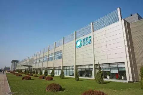 从捡垃圾到世界冠军电影视频,从捡垃圾开始到世界首富在线观看