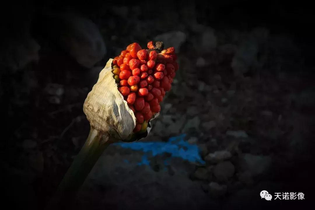 一万预算买徕卡,新手入门相机推荐1000元以内徕卡