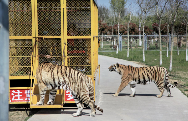 春游江淮请你来滁州版,春游江淮等您来