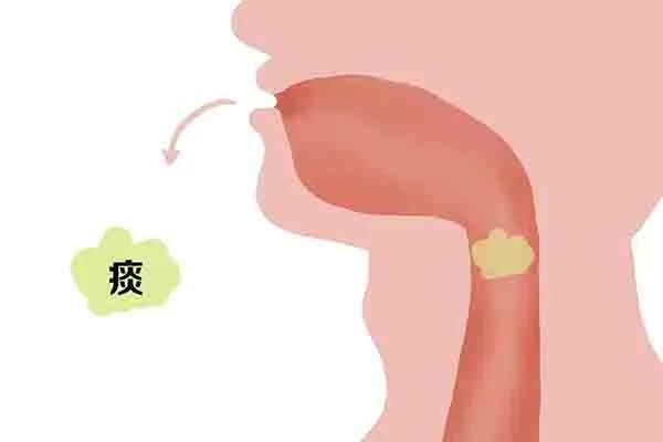 每天早上喝一杯蜂蜜水好处与坏处,每天喝一杯蜂蜜水对身体有何影响