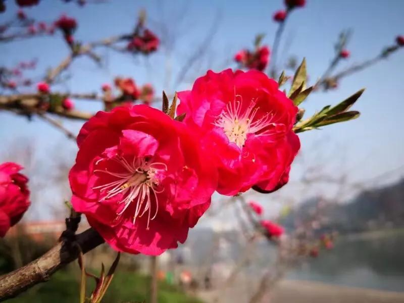 手拍世界近期作品,手拍世界微信公众号