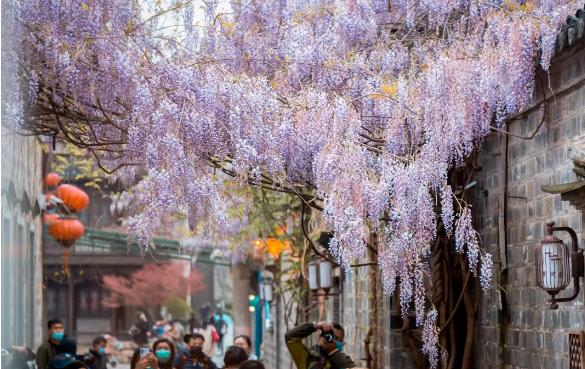 北京老门东和南京老门东,南京老门东旅游指南