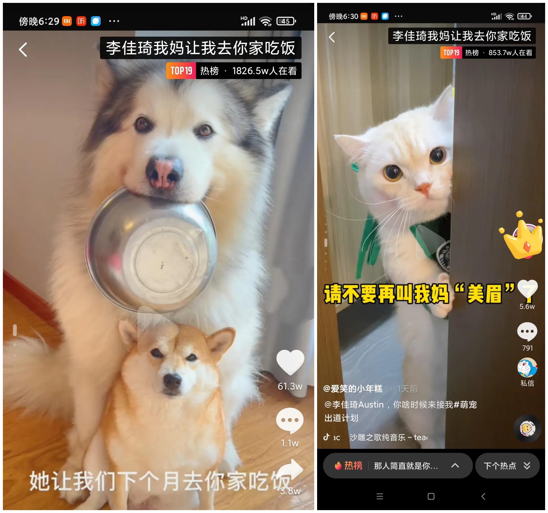 李佳琦一夜卖出115亿，前五全是国货？便宜又好用，你还不知道？