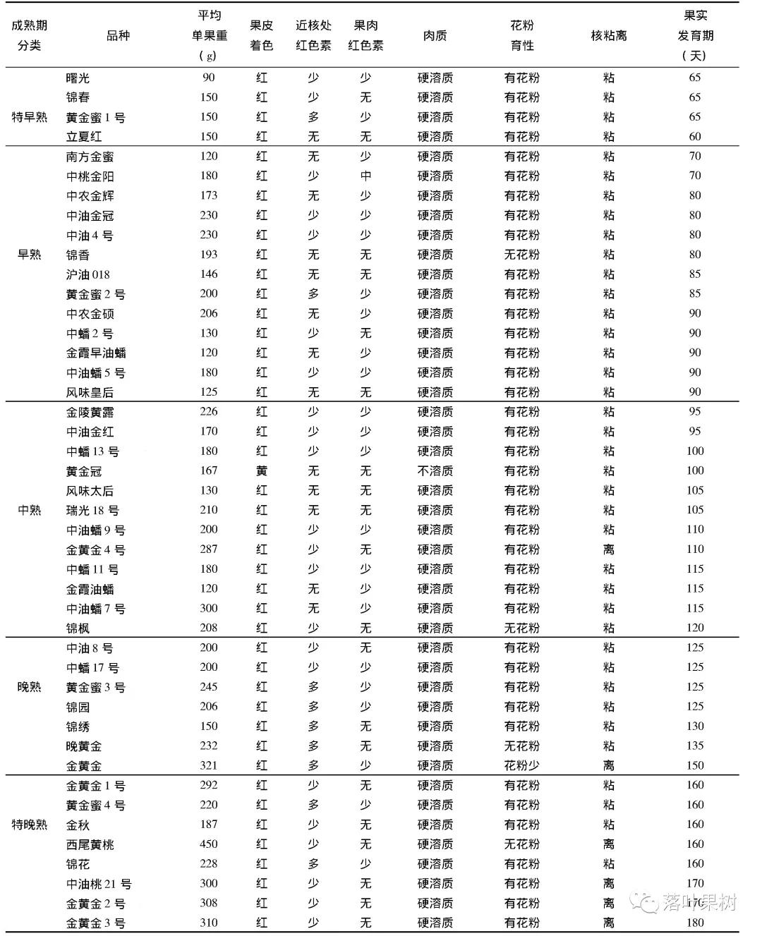 种植效益最好的黄桃品种,鲜食黄桃品种介绍