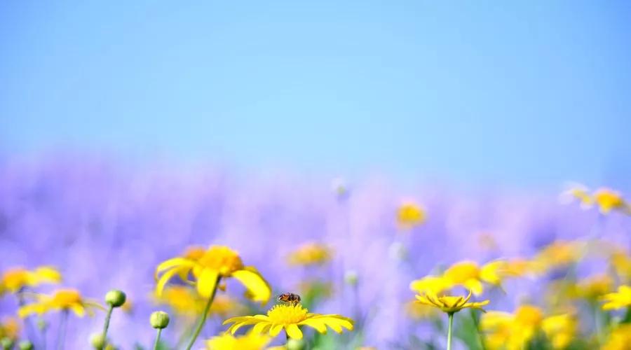 偏财运老话,十句老话儿说清一个人的财运