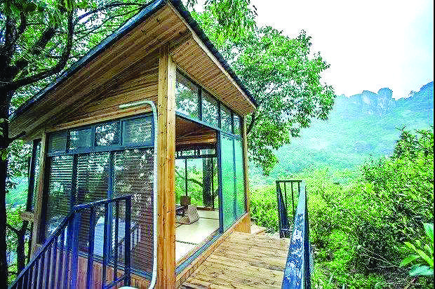 武夷茶香民宿一日游,大武夷音乐广场民宿