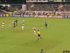 还记得马丁斯吗？那只在梅阿查和圣詹姆斯公园翱翔的雄鹰