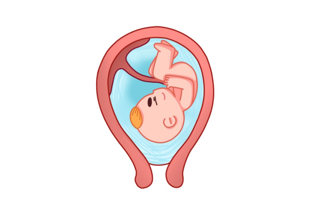 孕早期胎盘低置什么原因,孕中期胎盘低需要卧床多长时间