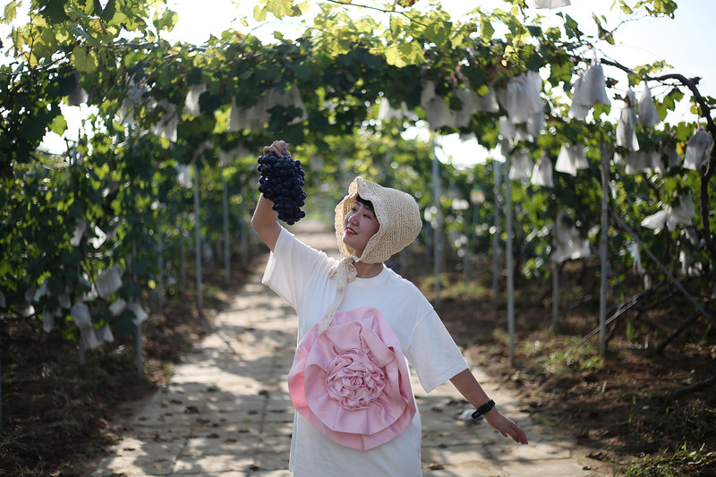 两天一夜游密云,密云两日游最佳攻略