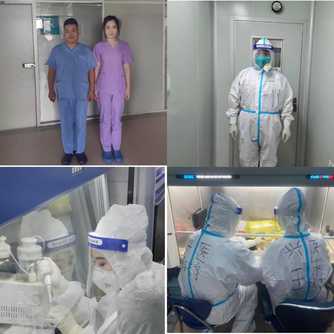 葫芦岛市援助大连14勇士平安凯旋