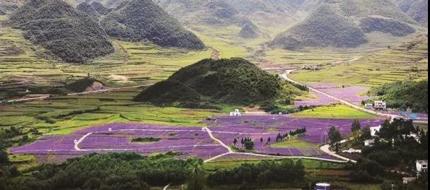 2021中国美丽休闲乡村贵州,2020年贵州最美乡村旅游景点