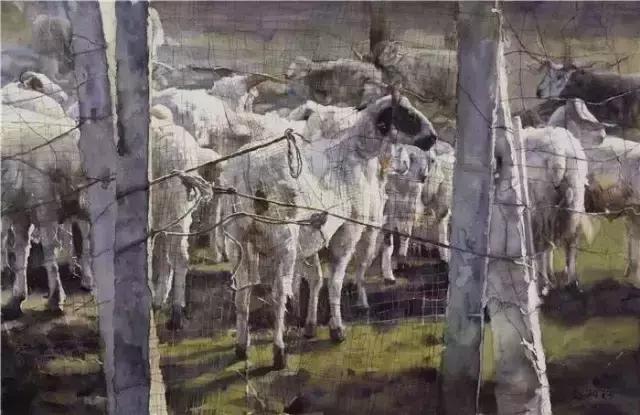 有才华的女人更美丽——青年水彩画家赵丽珍作品赏析