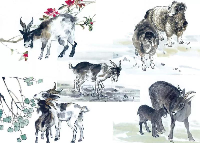 娜聊《诗经·羔羊》