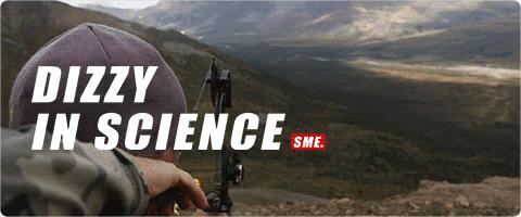 灭绝物种什么罪,灭绝动物的报应