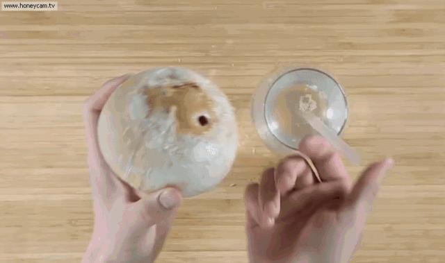 开椰子用口香糖,用口香糖开椰子告诉我们什么道理