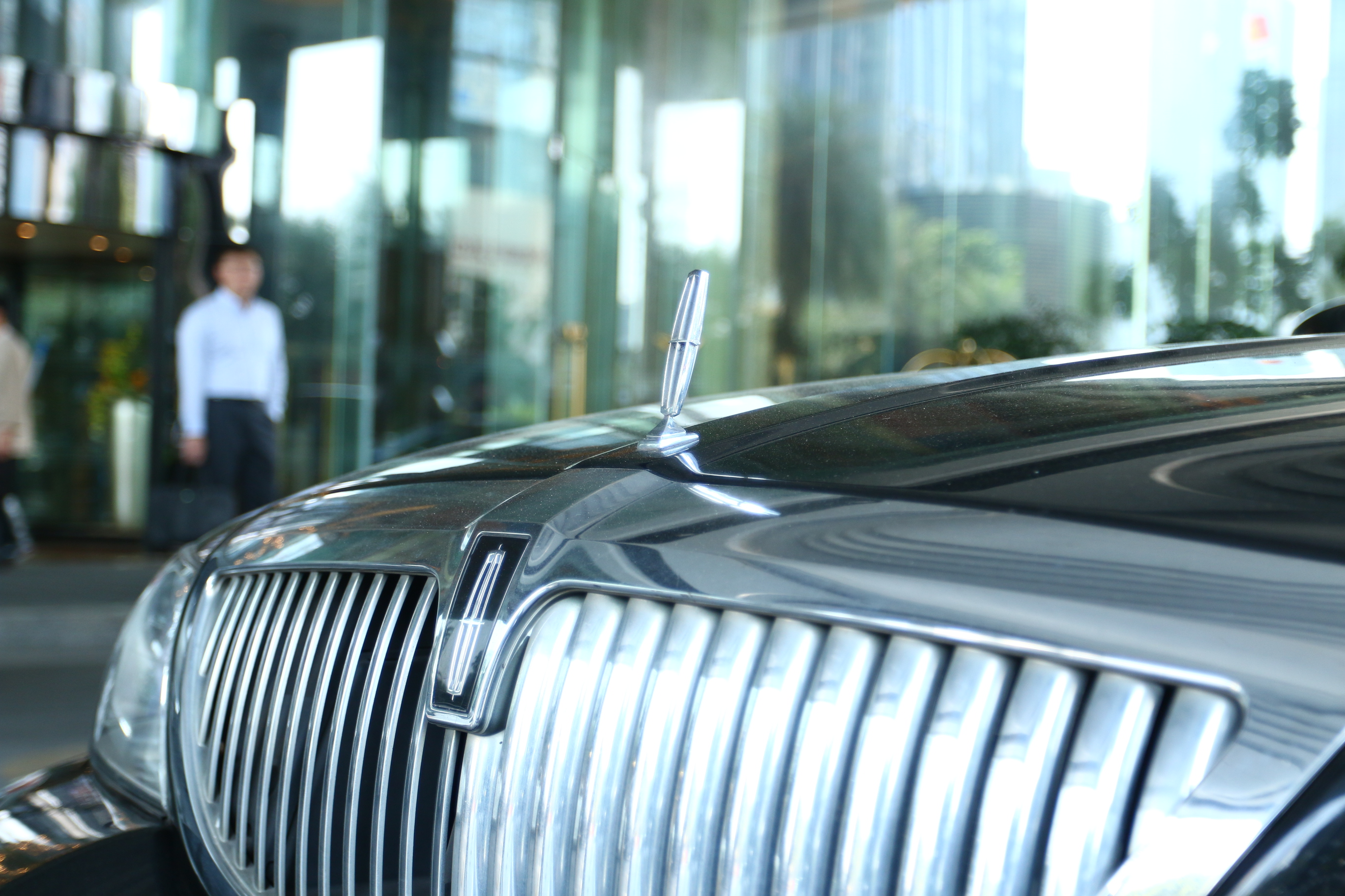 拔草活动感受,拔草喜来登