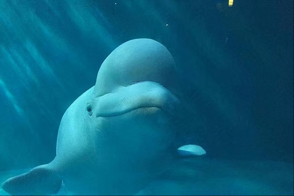 大连有海的城市确实比较浪漫一点,向往的海滨城市大连浪漫之旅