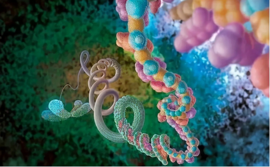 人类寿命最新研究,人类寿命有没有打破自然规律