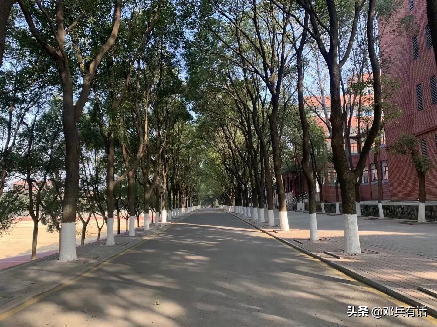 语彤同学的自我介绍和高中学习规划