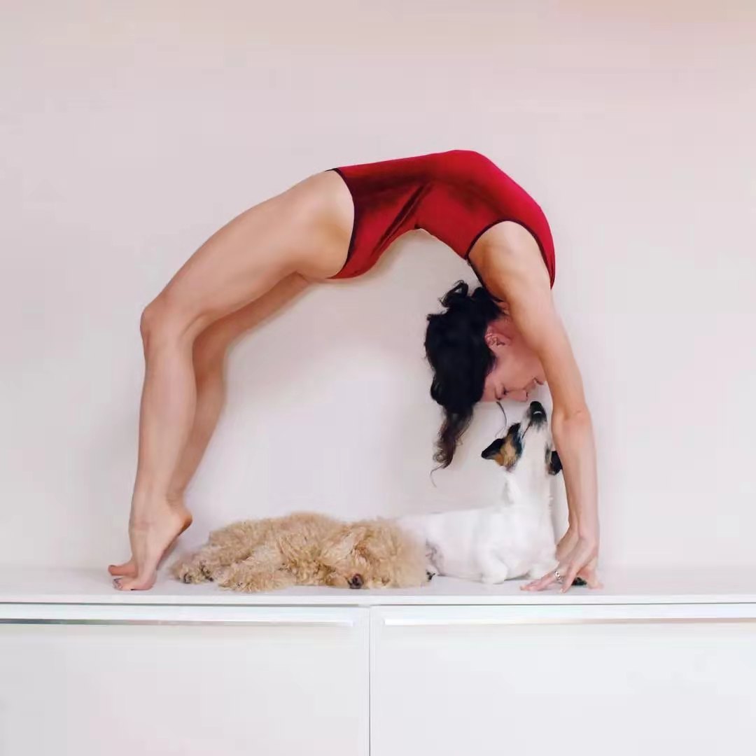 瑜伽桥式为什么手支撑没有力量,桥式锻炼和桥式瑜伽有什么区别