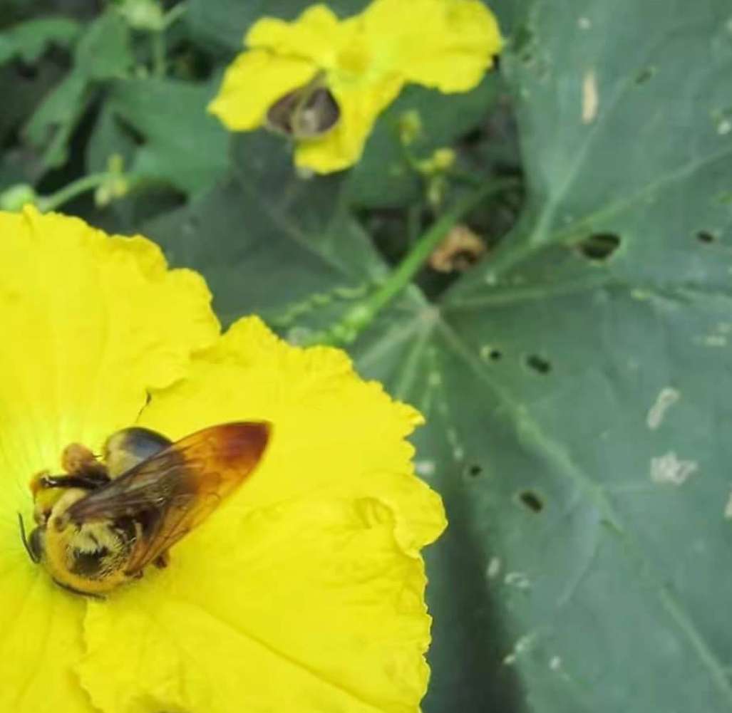 期望薪资是月薪还是年薪,薪资月薪和年薪的区别