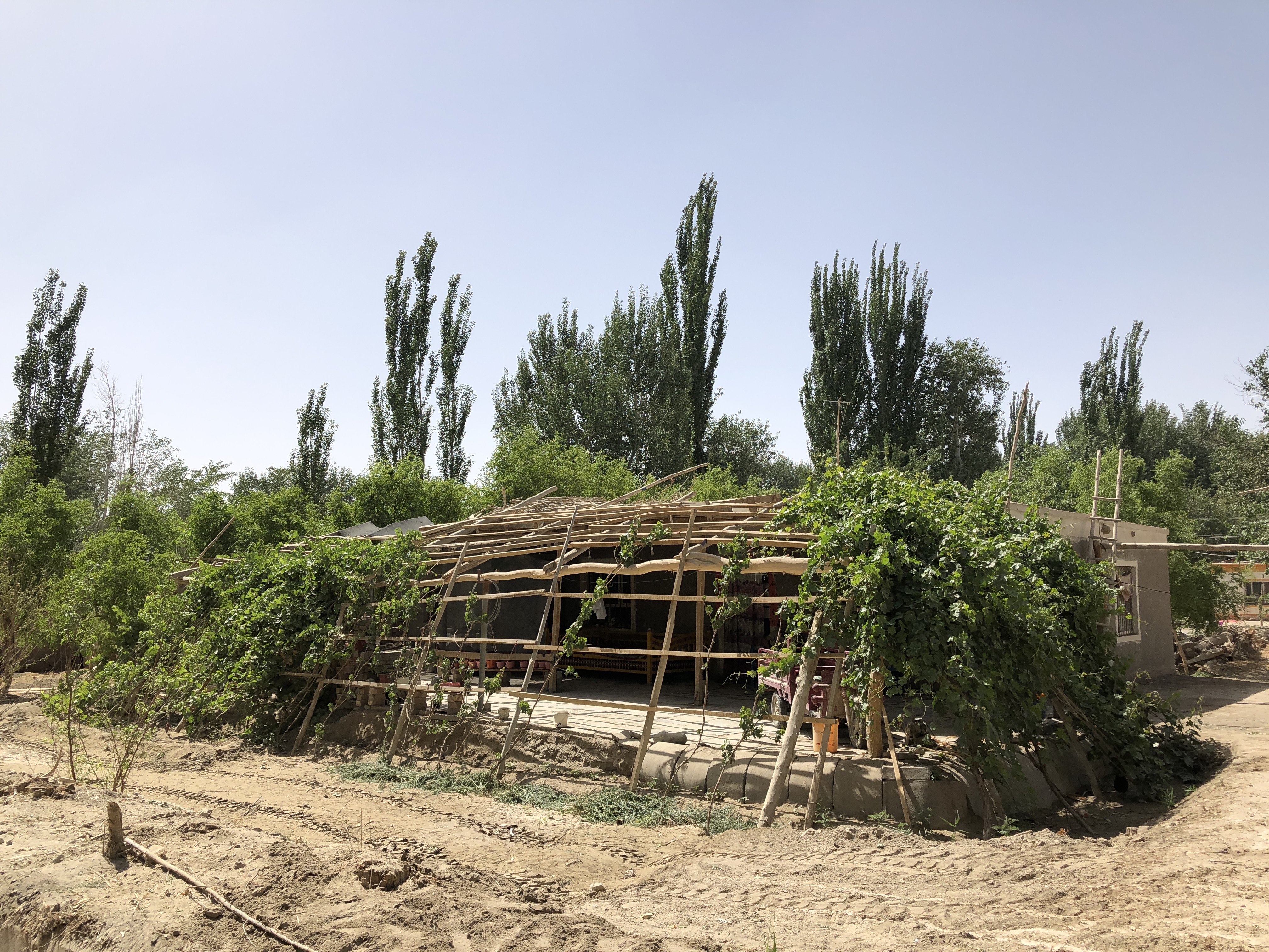 丝绸古城且末县,新疆且末古城