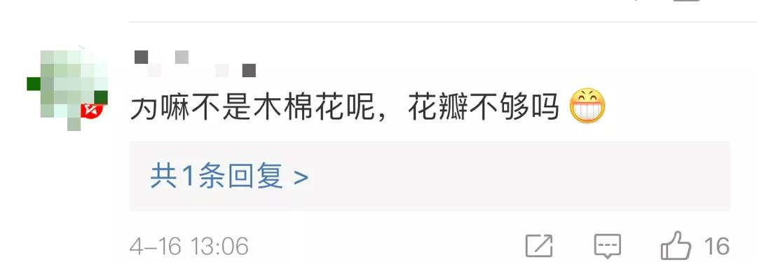 恒大红荷花图片,广州恒大荷花球场最新消息