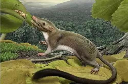 孙猴子跳不出五指山,孙猴子逃不出如来佛的手掌心