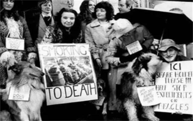 为证明吸烟无害，英国*草烟**公司每天给狗抽100支烟，结果如何？