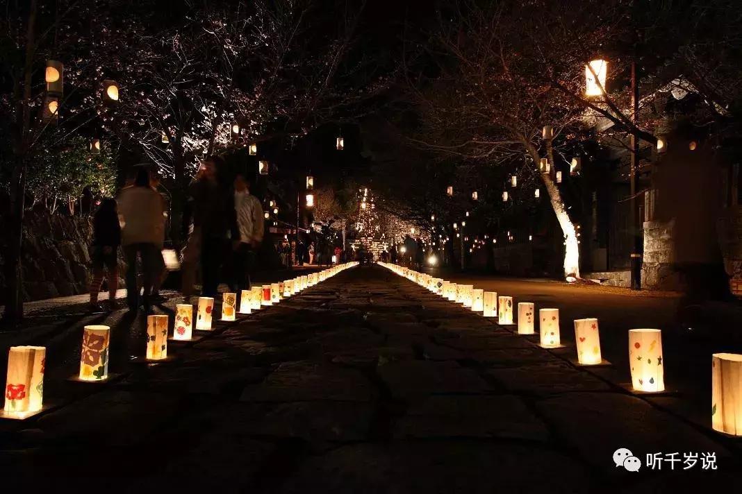 日本东京熊本熊,日本熊本游