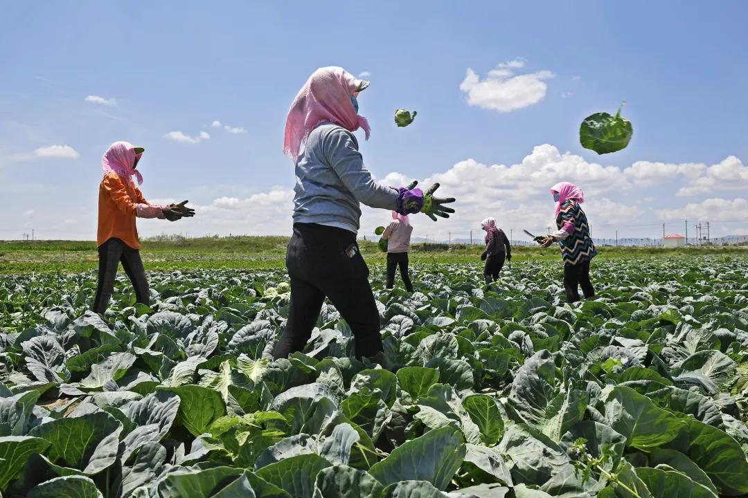 脱贫攻坚取得的伟大成就,彪炳史册历史性成就