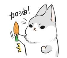 国货公认最好的三款洗面奶,测评了6支洗面奶怎么样