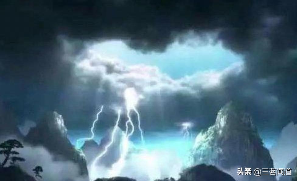 紫竹院龟仙与分手圣地有何渊源？弃壳救主的龟伯伯有苦难言