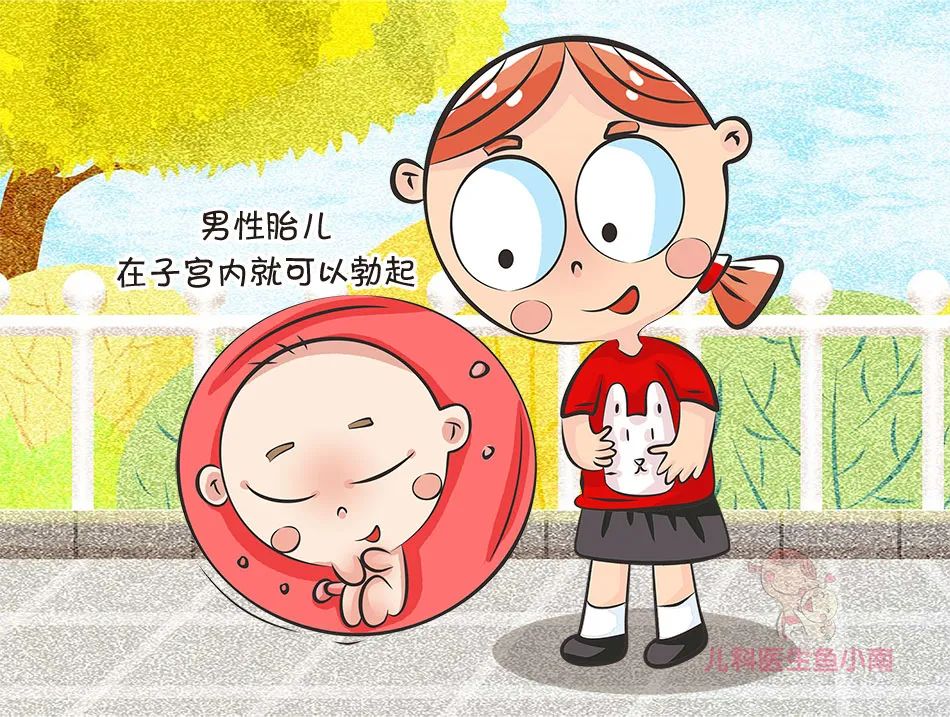 怎么办？宝宝的小丁丁经常“竖起来”，这是性早熟吗？