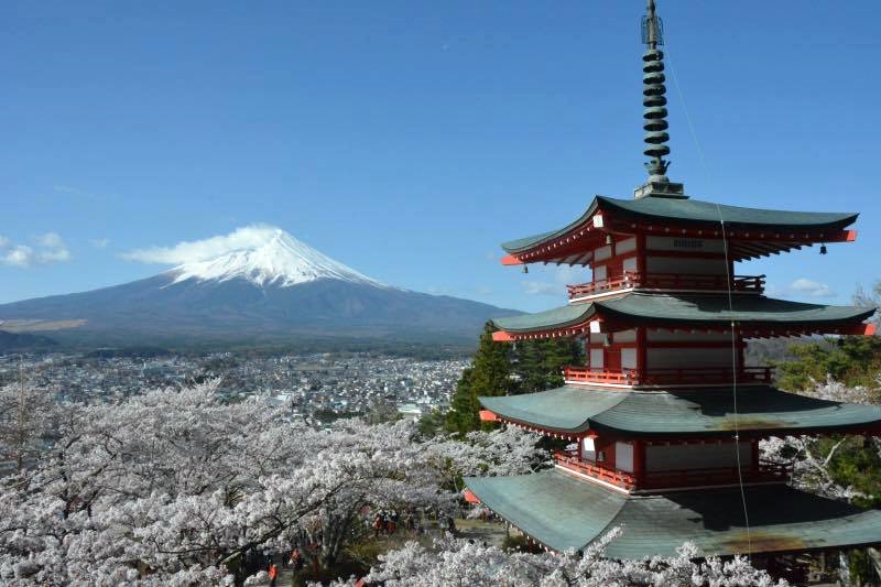 日本东京美食攻略自由行,东京旅游美食自由行路线攻略