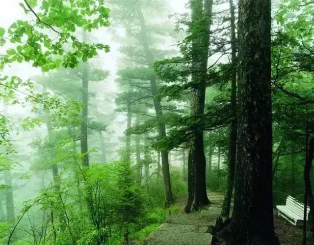 哈尔滨自驾三亚边走边玩最佳路线,哈尔滨到漠河自驾旅游攻略10天