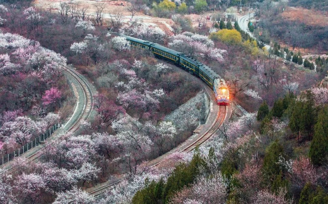 太美了开往春天的列车,这些开往春天的列车简直美呆了