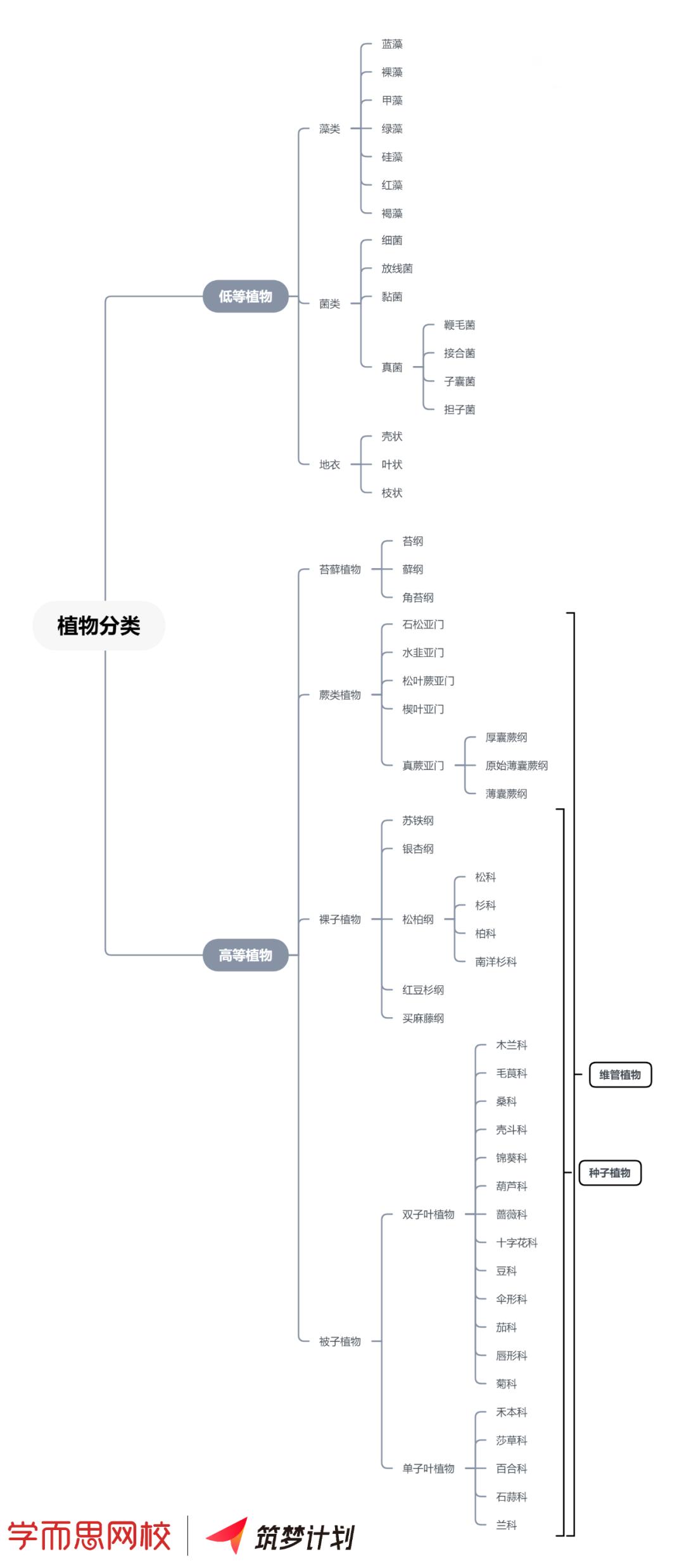 植物学知识点总结,植物学知识点框架总结