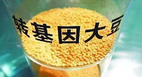 转基因的玉米种一定高吗,转基因玉米比普通玉米便宜吗