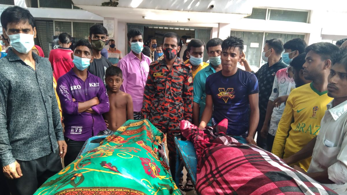 格鲁吉亚550只羊遭雷击死亡,格鲁吉亚550只羊疑遭雷击死亡