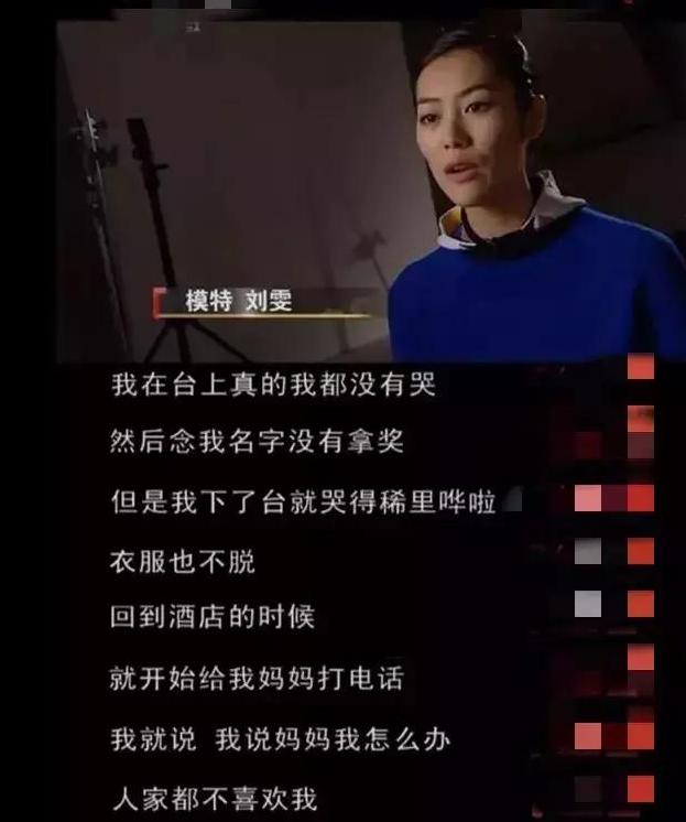 刘雯的经历,刘雯经历