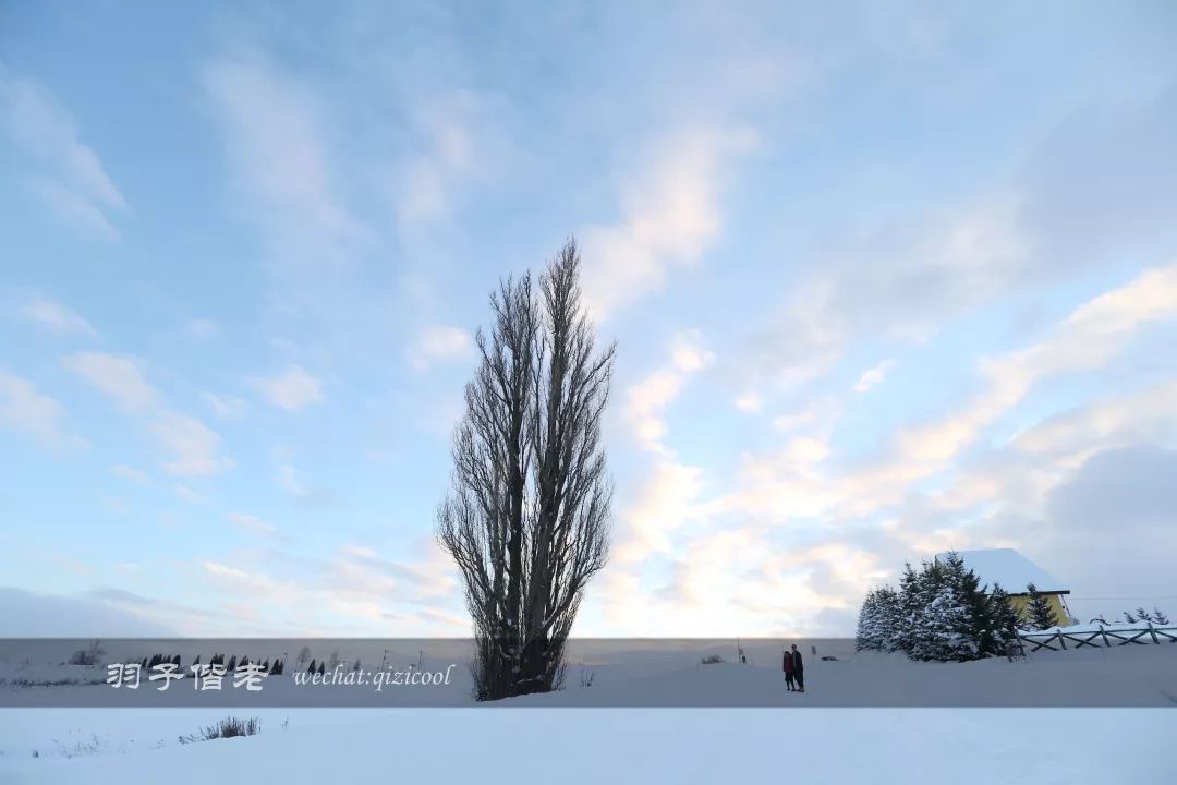 老实说，这一趟北海道就是为了拍好看的照片去的