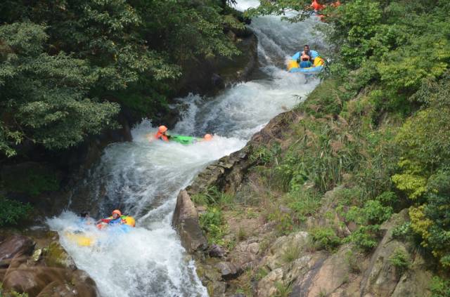 国内薰衣草庄园,中国最大薰衣草生产基地是哪里