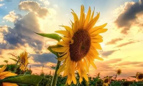 王阳明心学最透彻解读,王阳明心学自我修炼心法