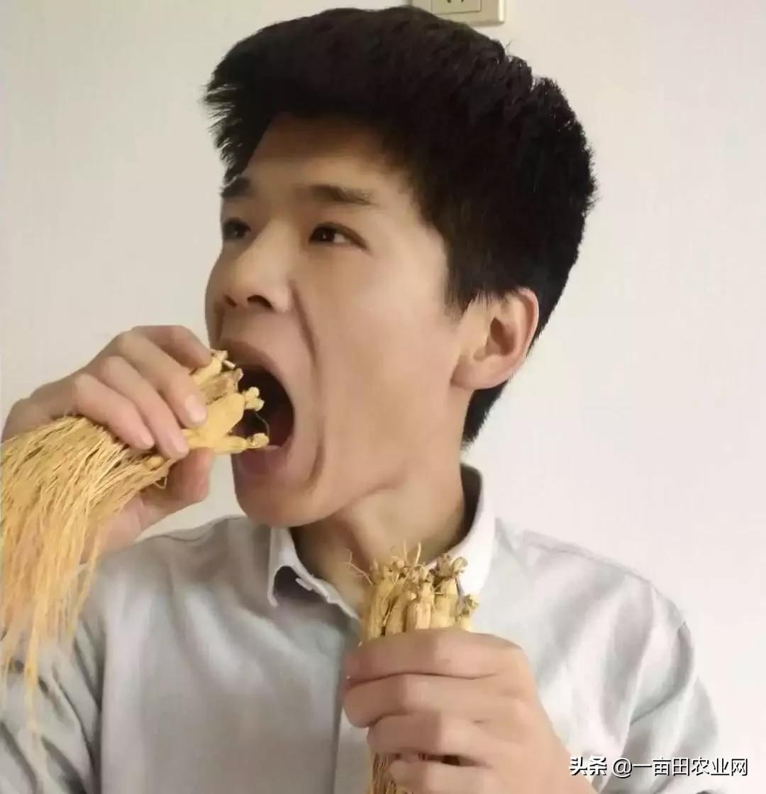 直播卖货话术技巧和方法视频教程,直播卖货技巧和话术教程视频