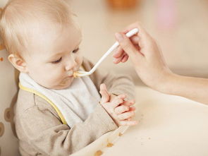 婴儿如何添加辅食后喝水,婴儿辅食怎么添加孩子以后不挑食