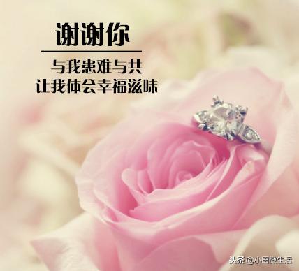 感恩节如何发朋友圈家人,感恩节怎样发朋友圈好一点