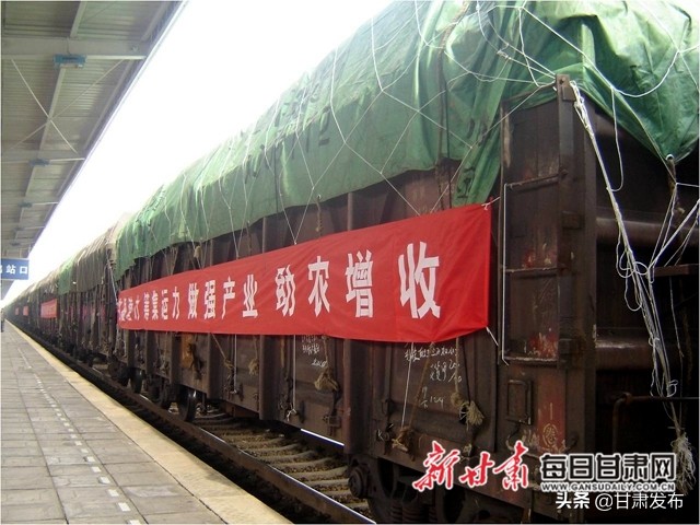 王一航：与农民一起扶犁37年马铃薯育种世界称王