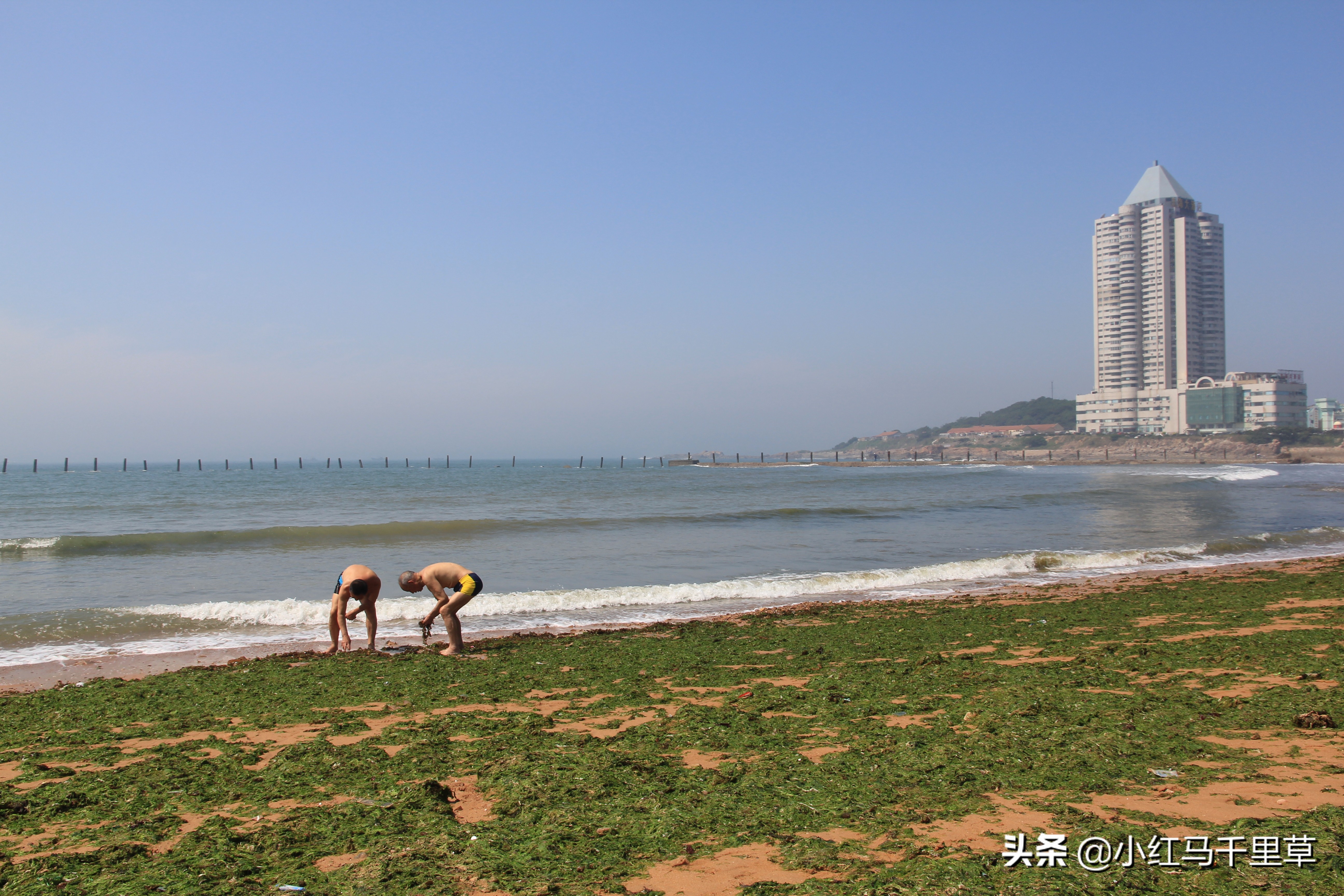 好客山东青岛旅游攻略,好客山东浪漫青岛