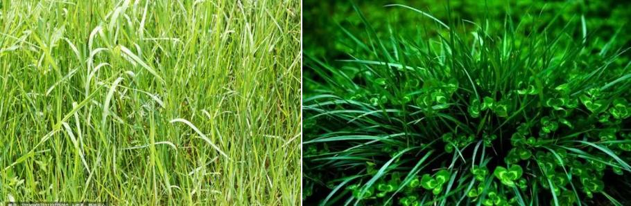 诗词世界杯中华诗词大赛第二名,华夏杯诗词大赛获奖作品欣赏